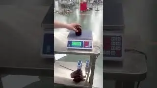 🚀 Introducing the Linear Type Granule Filling Packing Machine with Multihead Weigher! �