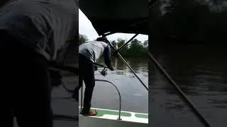 mmgs-mancing mania group samarinda strike ikan pari