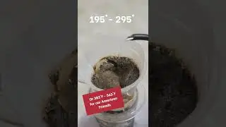 Don't Burn Your Beans! 🔥 #shorts #coffeetips