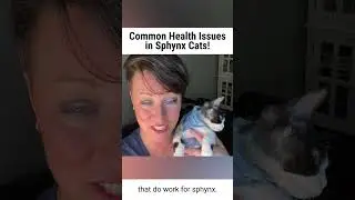 Common Health Issues in SPHYNX Cats!