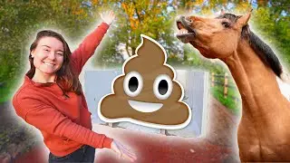 DE NIEUWE MESTHOOP WORDT GEPLAATST! 💩
