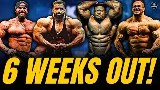 ARNOLD CLASSIC 2026 OPEN & CLASSIC | ОБНОВЛЕНИЕ ИНФОРМАЦИИ О ФИГУРЕ ЗА 6 НЕДЕЛЬ ДО ТУРНИРА❗