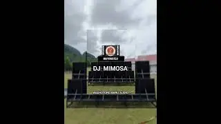Mimosa 2000 oleh Furacao 2000, Nyasia Tony Garcia, Peter Fontaine