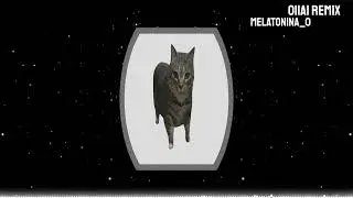 OIIAI REMIX BASE FREESTYLE (FREE)