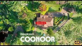 DAY 3 - TRAVEL TO MOST BEAUTIFUL UNEXPLORED COONOOR & TEA ESTATES | BISONS