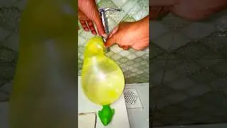 Balloon vs Water 💧 | Balloon Burst in Slow Motion #Shorts