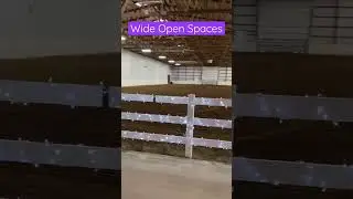 Wide open spaces in our riding arena here at Showtime Farms #horselover #horseriding #horses #horse