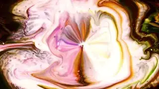 Abstract Ink Paint Spread Stock Video