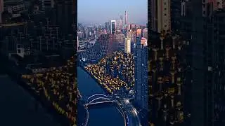 Shanghai's 