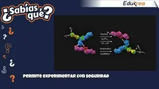 Ciencias Naturales 10&deg; SQh s23  Condiciones de equilibrio