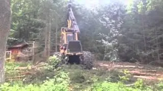 Skogsavverkning Siggesta 2014