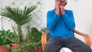 Midnight on the Water - harmonica