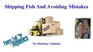 Shipping Fish - Avoiding Problems - Customers And My Birthday!
