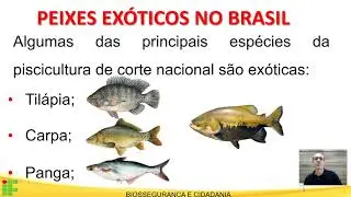 Aula3-Aquicultura-Bioinvas&atilde;o