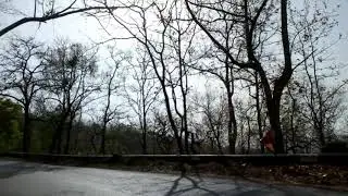 Tamiya ghati (madhya Pradesh)