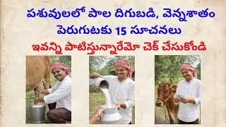 How to improve milk yield and milk fat