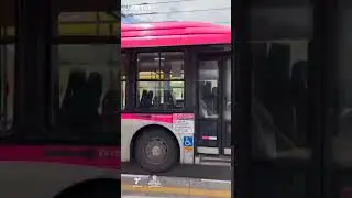 &Ocirc;nibus sptrans barbie
