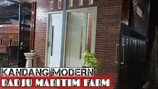 KANDANG MODERN‼️RADJU MARITIM FARM 👉ada Di kab.trenggalek