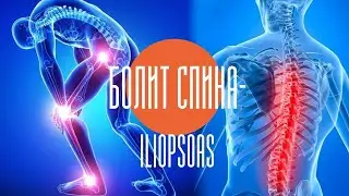 Боли в спине, все о подвздошно-поясничной мышце. Iliopsoas about. Тест. Вы годами лечили не то.