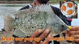 magic bait pe all tipe carp fishing, feedar aur pop-up pe catch fish