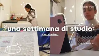 VLOG STUDIO PRE-ESAME: perfezionismo tossico? | med student | study vlog
