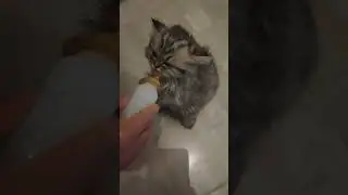 milk wars