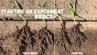 How to Start an experiment in Agriculture? | Basics