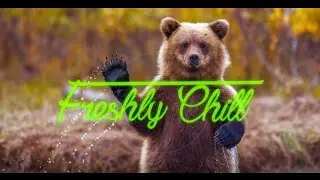 [Chillout / Ambient] Ryno Project - Animal Friends