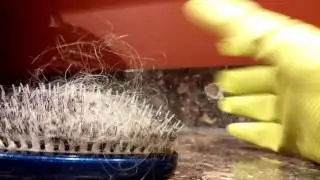 Gray haired cleaning lady tips 1.Removing hair from a hairbrush