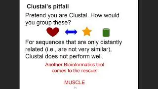 MultipleSequenceAlignment ProgressiveClustal IterativeMUSCLE