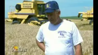 Research Hoping to Increase Wheat Yields