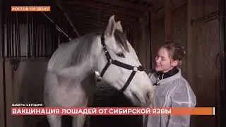 Шахты сегодня. 29 декабря 2025