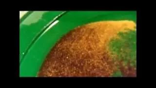 Yukon Sluice clean out over 9 ounces of flour gold