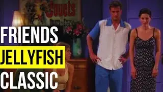 Funny Moments &ldquo;Friends&rdquo;- Monica stung by a Jellyfish