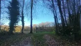 Neo Angelsee Nov  25