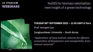 Prof. Jeongmi Lee - Applications of deep eutectic solvents for efficient preparation of biopolymers