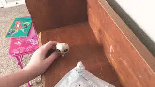 Opening my Dream LPS!?!