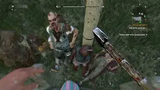 Dying Light  The Following -trying to turn off the generator