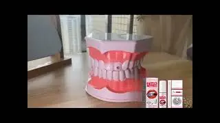 Tooth Gem Kit diy