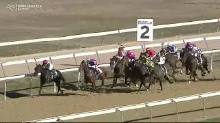 Exotic Dancer - HOPS & HOOVES FESTIVAL SATURDAY 28 SEPT HANDICAP 1280m - Canberra - July 26 2024