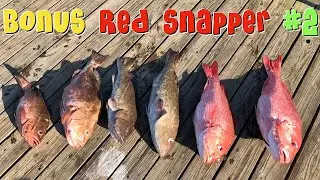 Bonus Red Snapper Spearfishing Trip #2 - Destin / Fort Walton Beach, FL