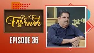 Best Friend Forever/Pet show/Episode #36 / Aquarium Fish-keeping / Aquatic Pets