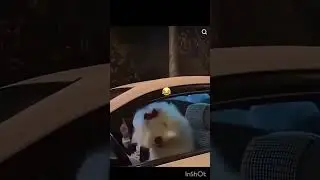 I WANT TO HAVE A DOG TOO  ✨ #awesome #awesomevideo #awesomestuff