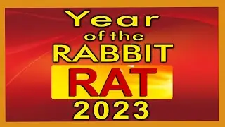 2023 Fortune for Zodiac sign of Rat
