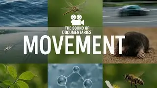 The Sound of Documentaries (Part 18) - Movement