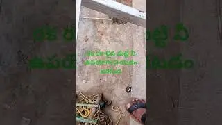 Eco friendly house #srihomesin,#ecofriendly,#greenbuild,#construction,#civilengineering,#rammedearth