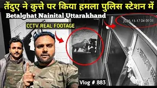 Leopard Attack On Dog In Betalghat | Jim Corbett National Park | Leopard Attack In Uttarakhand