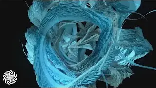 Plasma Wave - Cyclical Events