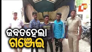 More than five quintals of ganja seized in Christpur village; 3 arrested