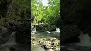 Hidden gem in Ohio #waterfall #trythatinasmalltown #nature #travel #ohio #nature #hiking